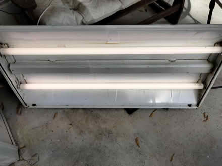 Photo of free 4' ft fluorescent fixture and lamps (near ODU) #1