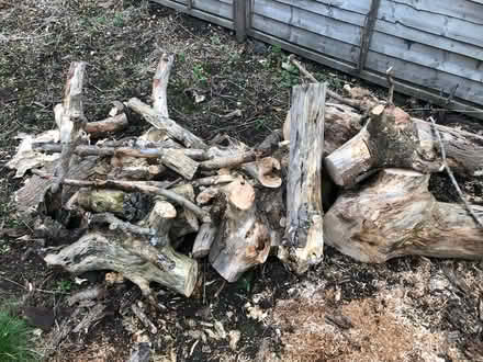 Photo of free Wood for burning (Leamington Spa (Leamington Spa (CV32)) #1