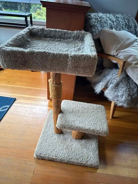 Photo of free Cat tree (Magnolia, Seattle) #1