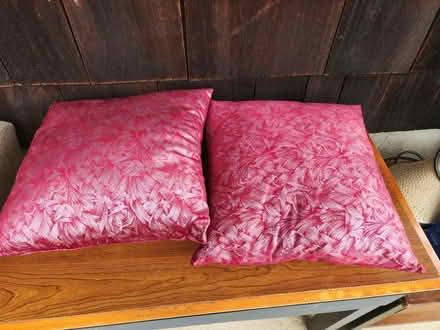 Photo of free 2 red/pink pillows - Excellent (Bloomfield, NJ) #1