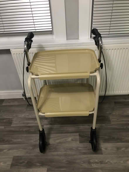 Photo of free Mobility Walker With Trays (CT11) #1