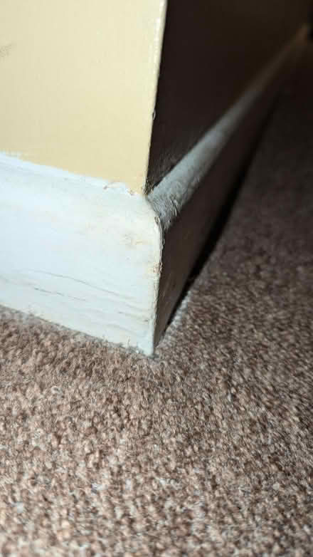 Photo of Round edged skirting board (BS16) #1