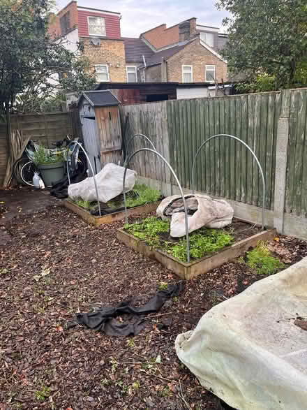 Photo of free raised beds with covers (East London - Leyton) #1