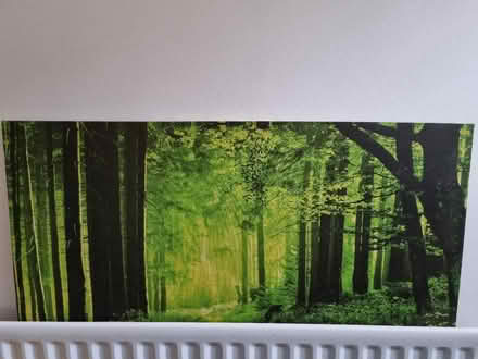 Photo of free Forest scape canvas (Alderton IP12) #1