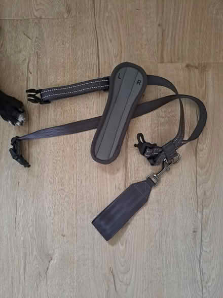 Photo of free Dog car harness (Battle TN33) #2