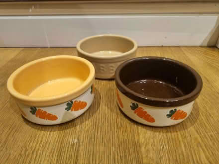 Photo of free Rabbit/small pet bowls (Arborfield Garrison RG2) #1