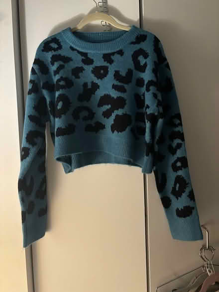 Photo of free Cropped sweater from revolve.com (River North) #1