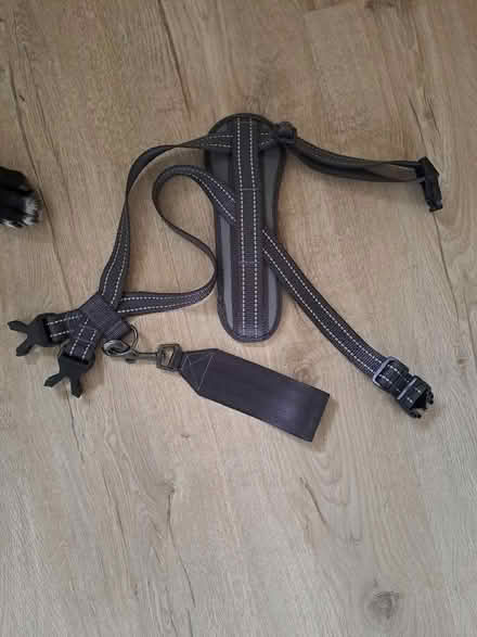 Photo of free Dog car harness (Battle TN33) #1