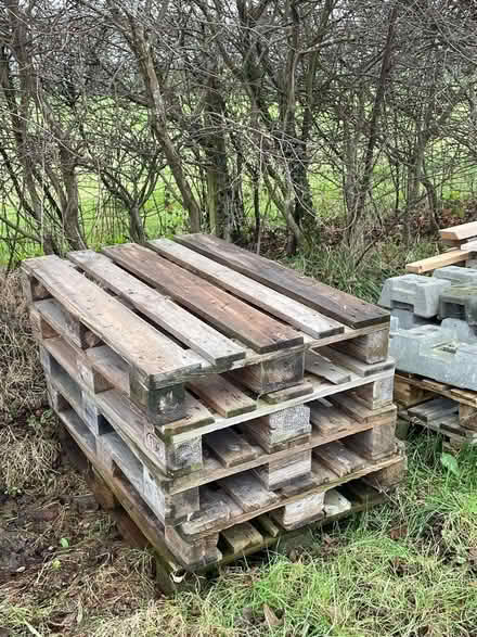 Photo of free Pallets and part pallets (Warkworth NE65) #3