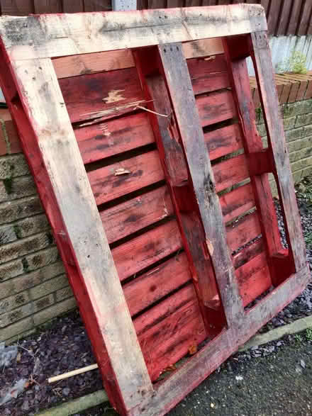 Photo of free Red pallet (Dartford DA2) #2