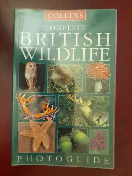 Photo of free CollinsBritishWildlifePhotoGuide (Nelson BB9) #1