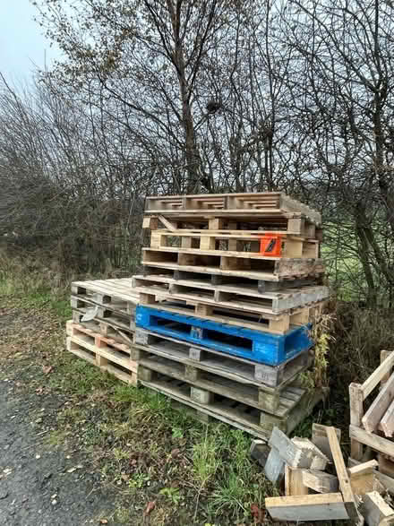 Photo of free Pallets and part pallets (Warkworth NE65) #2