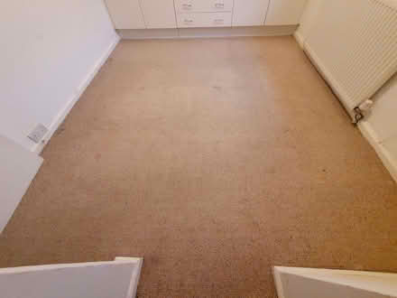 Photo of free Bedroom carpet (Mountain Ash CF45) #2