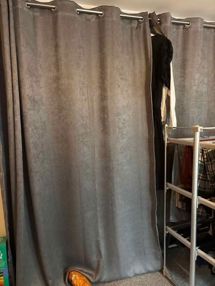 Photo of free Grey curtains and curtain pole (Winchester, SO22) #1