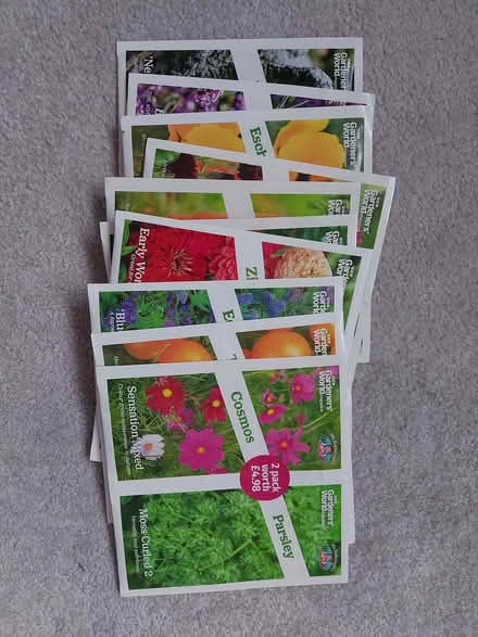 Photo of free Selection of seeds (Lower Stondon SG16) #1