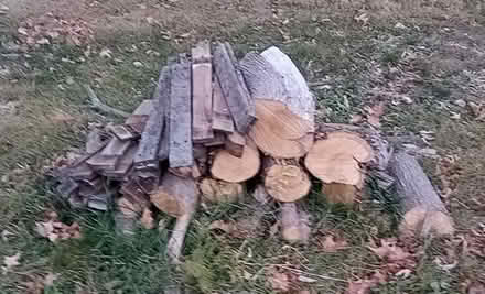 Photo of free firewood (Town of LaGrange) #1
