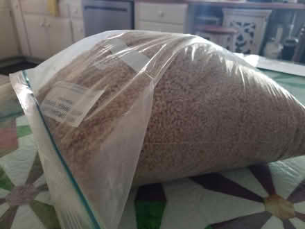 Photo of free 100% organic hard wheat berries (Clearwater, Keene and Druid Rd) #2