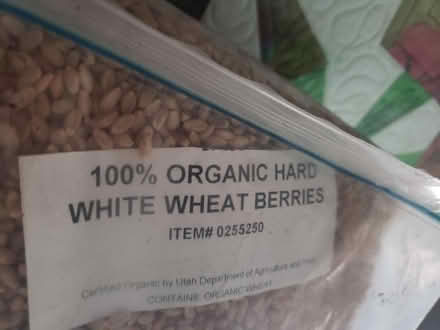 Photo of free 100% organic hard wheat berries (Clearwater, Keene and Druid Rd) #1