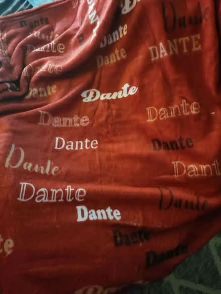 Photo of free Dante....Cino personalized blankets (Aloha/Beaverton) #2