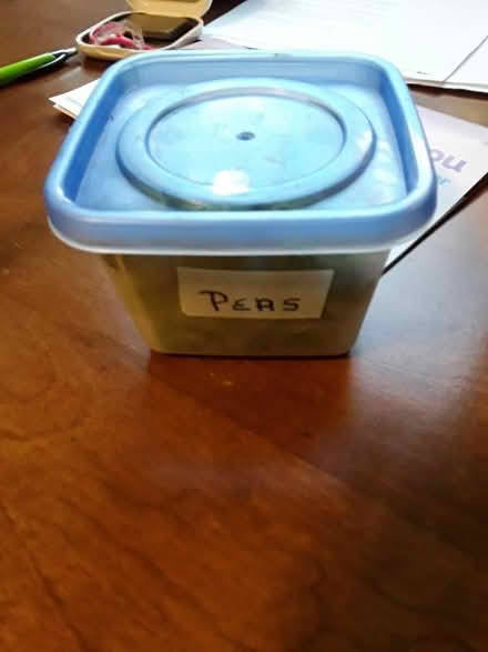 Photo of free container of cooked peas (Westside Waterbury) #1