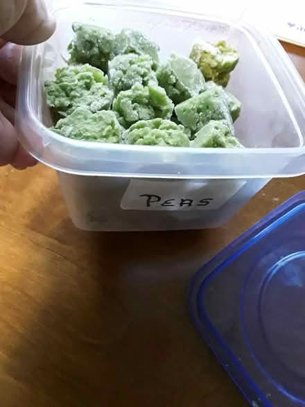 Photo of free container of cooked peas (Westside Waterbury) #2