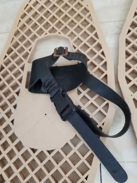 Photo of free Plastic snowshoes (Hunt Club) #1