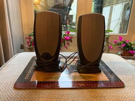 Photo of free Dell Computer speakers (Starkholmes DE4) #1