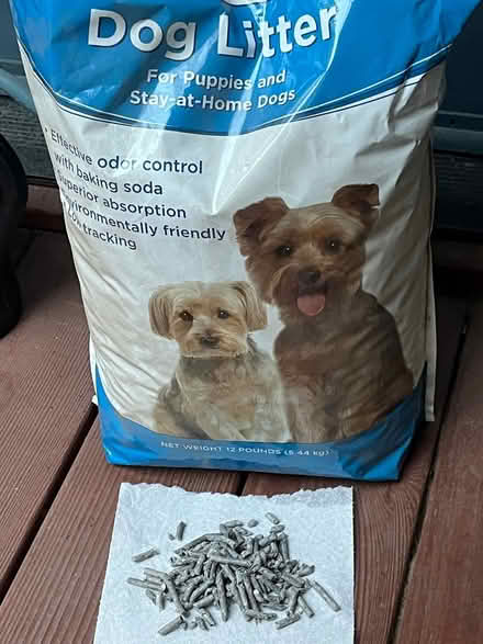 Photo of free Puppy training or indoor dog litter (Midtown Sacramento) #1