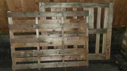 Photo of free 2 wooden pallets (Earl Shilton, LE9) #2