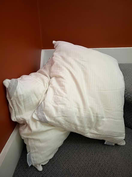 Photo of free Synthetic down pillows (Walden - North Porter Square) #1