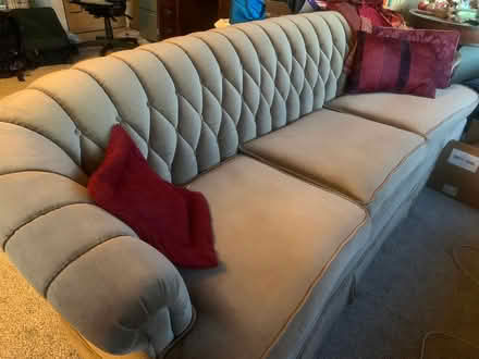 Photo of free Cute sofa (Phinney) #1