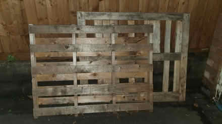 Photo of free 2 wooden pallets (Earl Shilton, LE9) #1