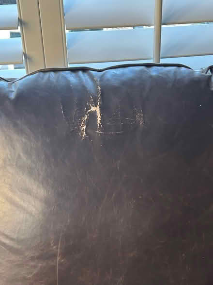 Photo of free Brown leather chair (Potomac, MD) #2