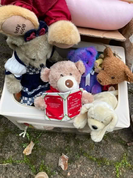 Photo of free Box of teddies (Eltisley PE19) #1