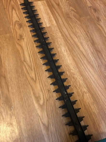 Photo of free Hedge trimmer (Willesden green) #4