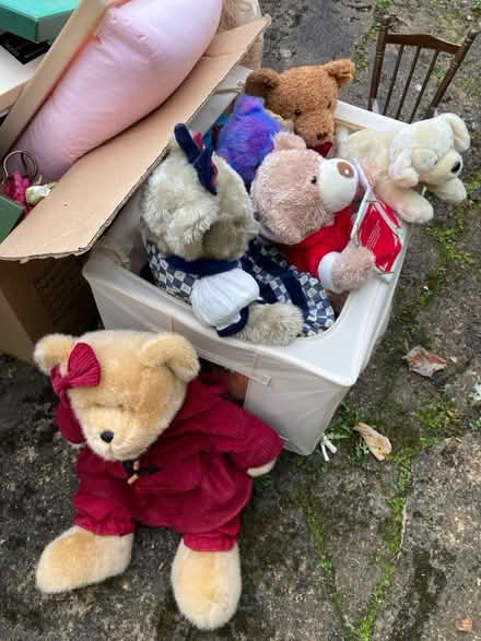 Photo of free Box of teddies (Eltisley PE19) #2