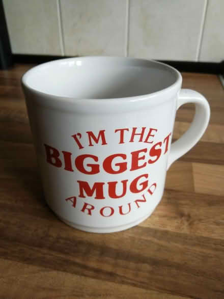 Photo of free Large mug (Walsall Wood) #1