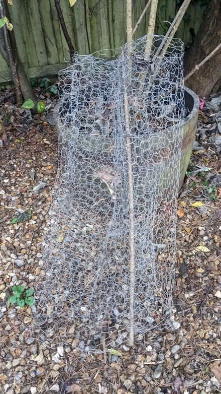 Photo of free Chicken wire (Finchampstead RG40) #1