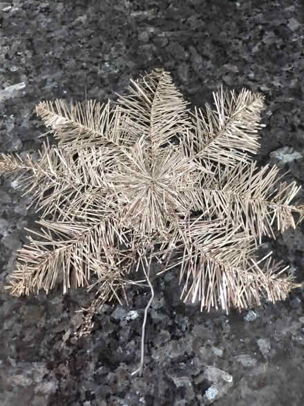 Photo of free Christmas tree Star (Seaford BN25) #1