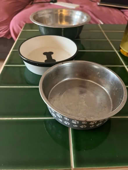 Photo of free 3 pet eating bowls (Wood Green) #2