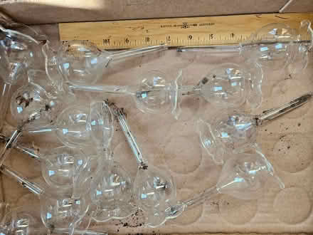 Photo of free glass plant self-watering thingies (Roxbury) #1