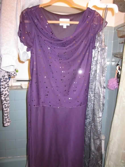 Photo of free dress (Fiorella's Newton by Waltham) #3