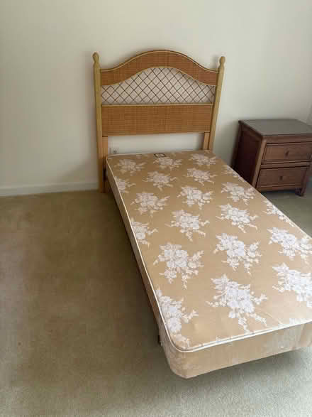 Photo of free Twin wicker headboard and boxspring (Manasquan section of Wall) #1