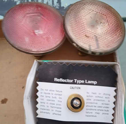 Photo of free incandescent floodlight/heat bulbs (Hurley (loop road off of 209)) #4