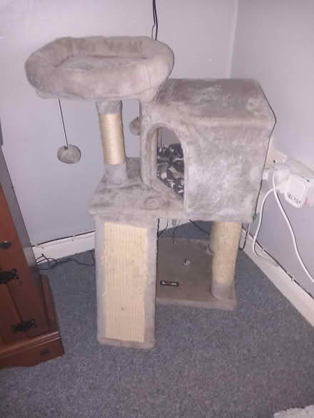 Photo of free Cat Tree (Herne Bay CT6.) #1