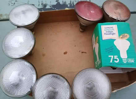 Photo of free incandescent floodlight/heat bulbs (Hurley (loop road off of 209)) #1