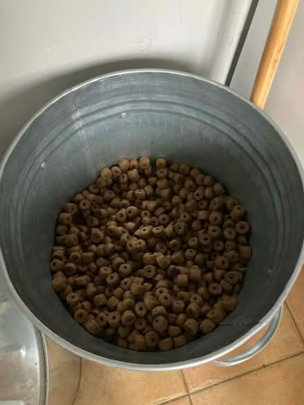 Photo of free James Wellbeloved large breed dog food (Eltisley PE19) #1