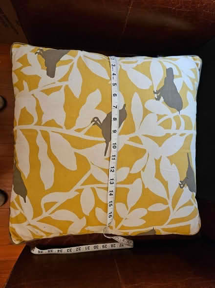 Photo of free put-a-bird-on-it pillow (Roxbury) #1