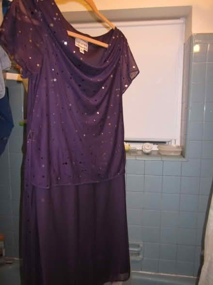 Photo of free dress (Fiorella's Newton by Waltham) #1