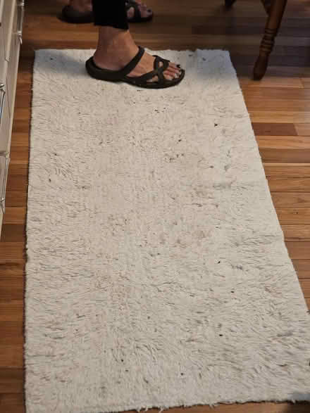 Photo of free Throw rugs (Apple Valley) #2